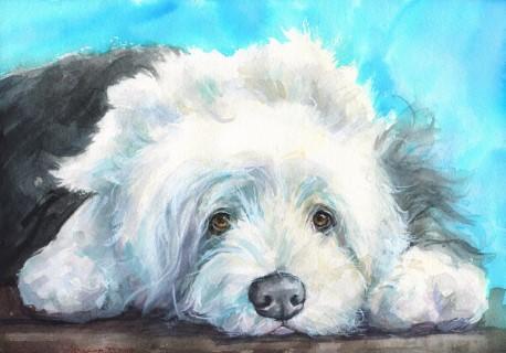 Print "Old English Sheepdog" | Watercolor