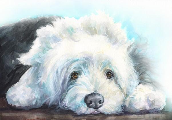 Print "Old English Sheepdog" | Watercolor