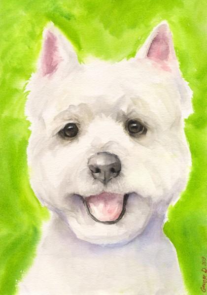 Print "West Highland White Terrier" | Watercolor