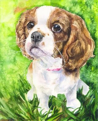 Print "Cavalier King Charles Spaniel" | Watercolor
