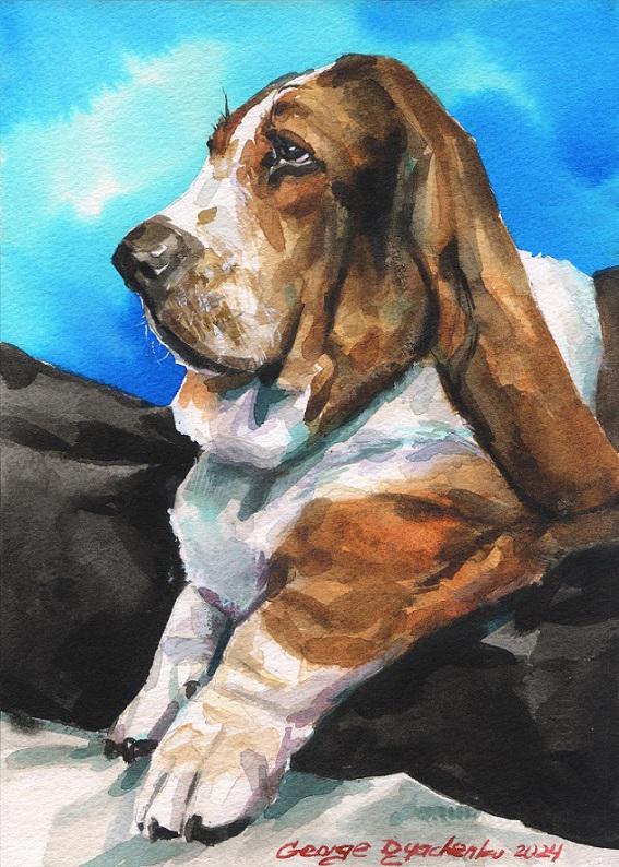 Print "Basset Hound" | Watercolor