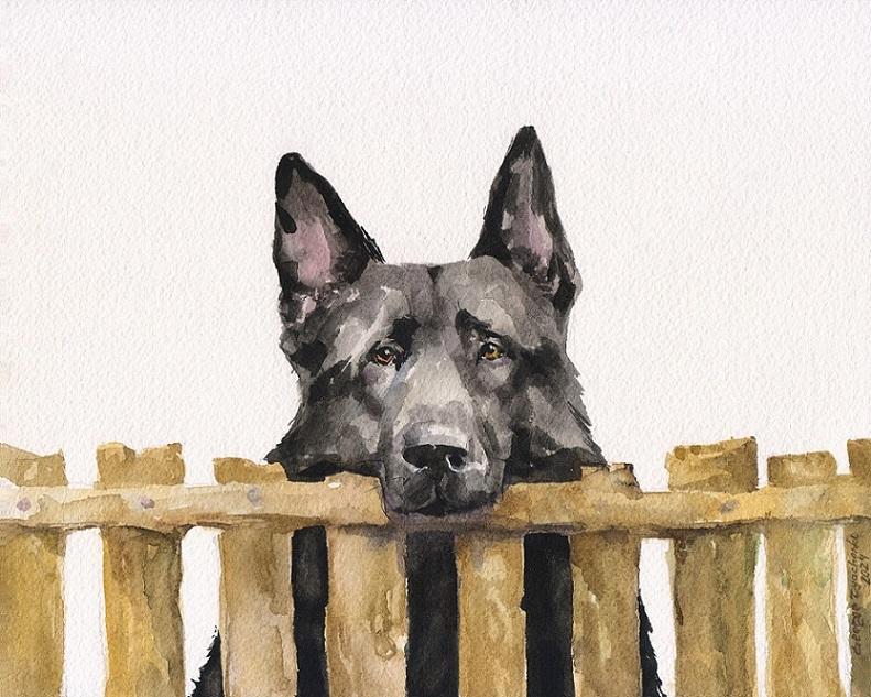 Print "Black German Shepherd" | Watercolor