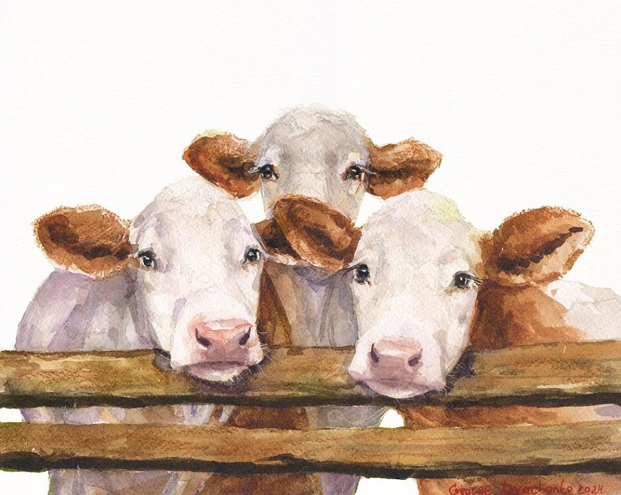 Print "Three cows friends" | Watercolor