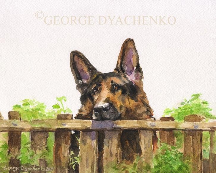 Print "German Shepherd" | Watercolor