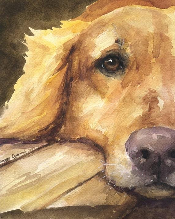 Print "Golden Retriever" | Watercolor