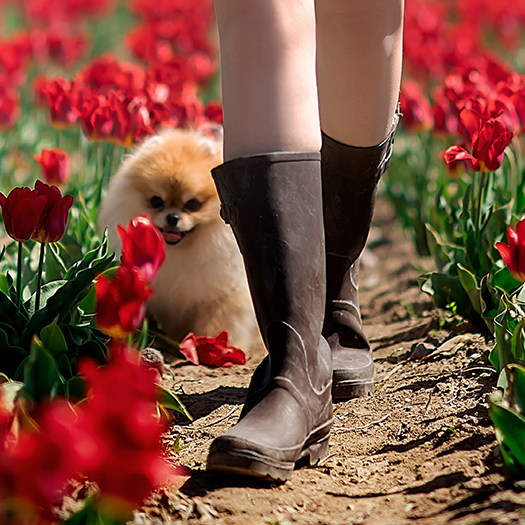 Резиновые сапоги женские