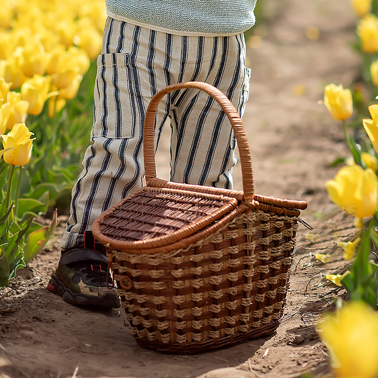 Корзина для пикника