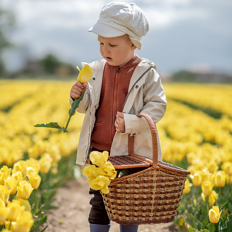 Корзина для пикника