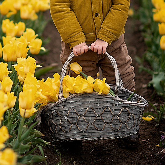 Корзина серая узкая