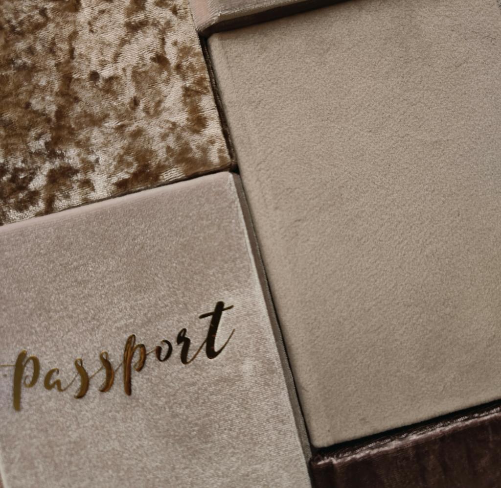 БАРХАТНЫЕ ОБЛОЖКИ НА ПАСПОРТ В БЕЖЕВЫХ ОТТЕНКАХ