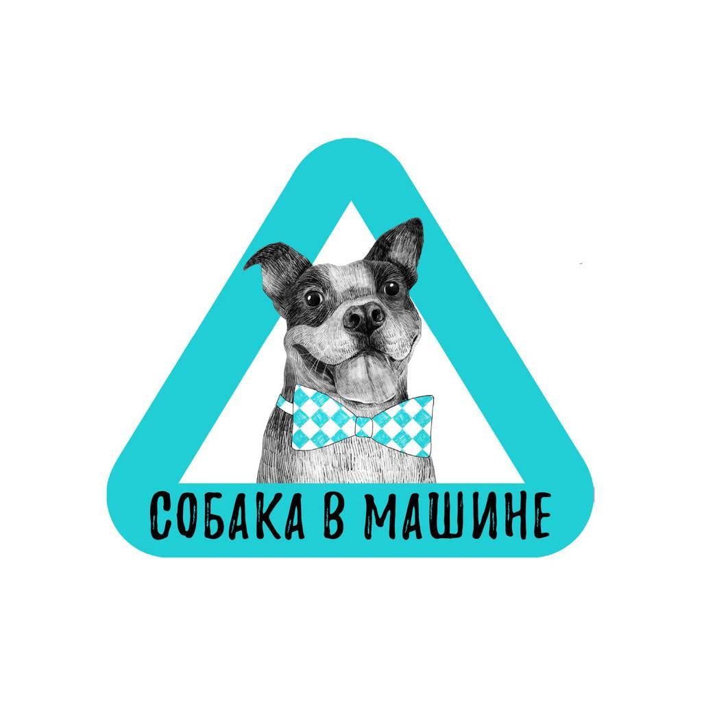 Стикер на машину - собака в машине - бульдог - бирюзовый