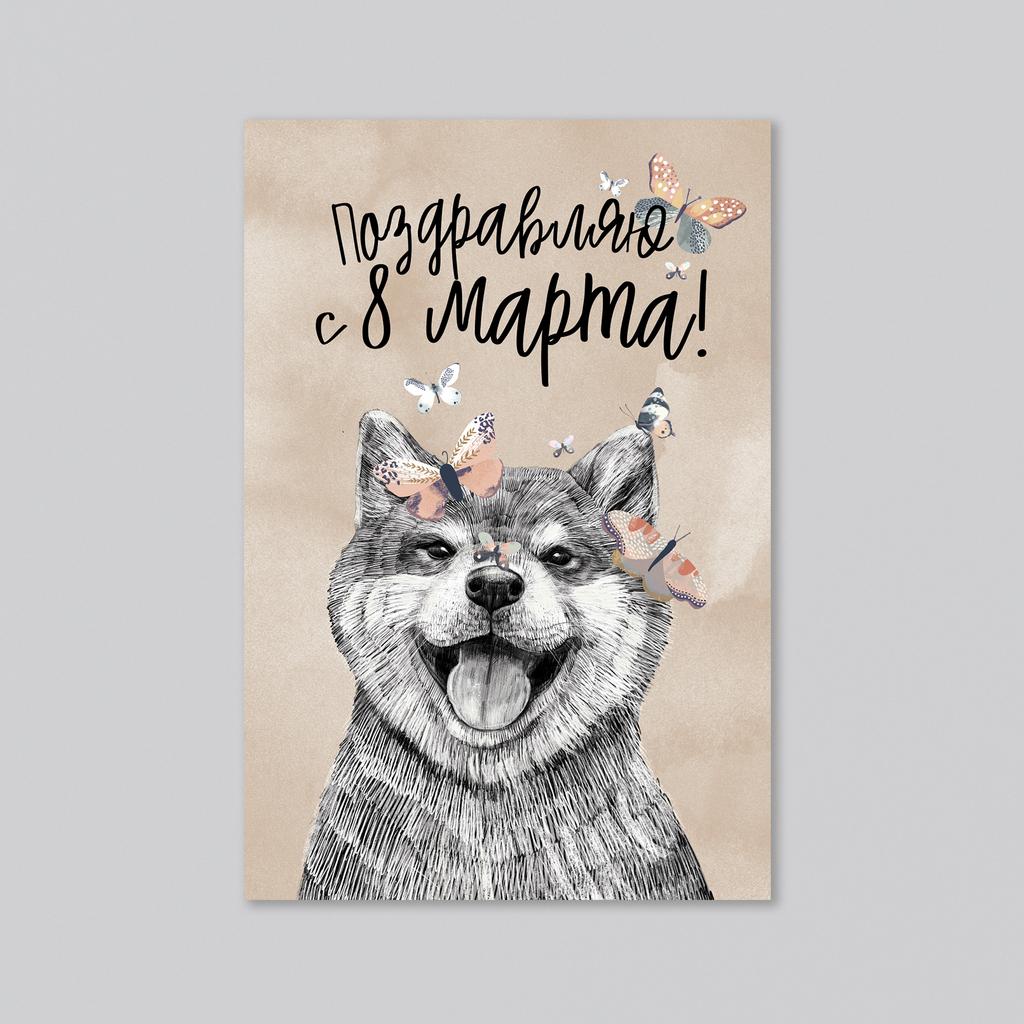 Поздравляю с 8 марта! С Сиба-Ину - оптовая открытка - 20 штук