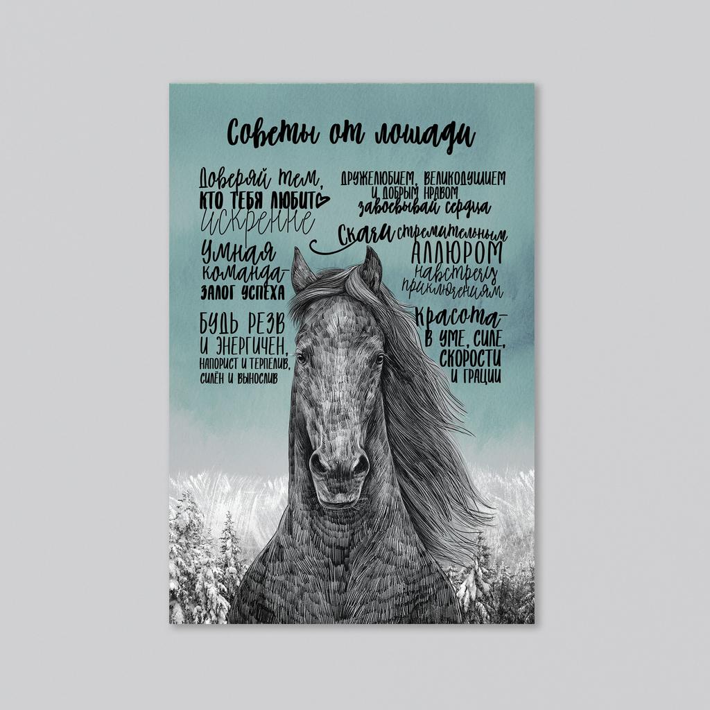 Советы от лошади - оптовая открытка - 20 штук