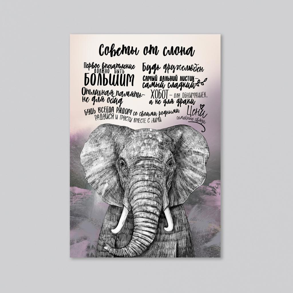 Советы от слона - оптовая открытка - 20 штук