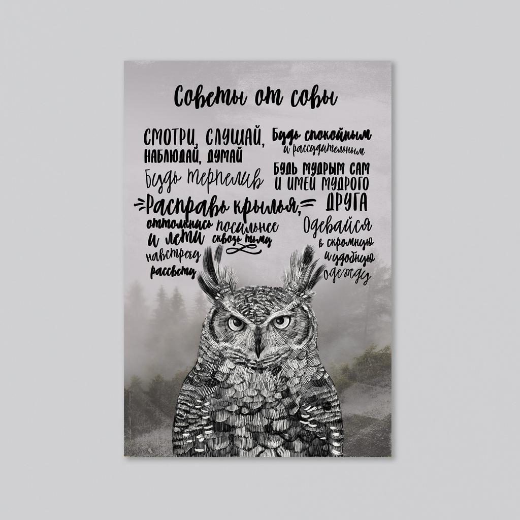 Советы от совы - оптовая открытка - 20 штук