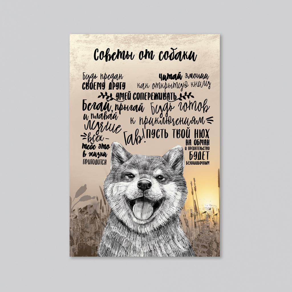 Советы от собаки - оптовая открытка - 20 штук