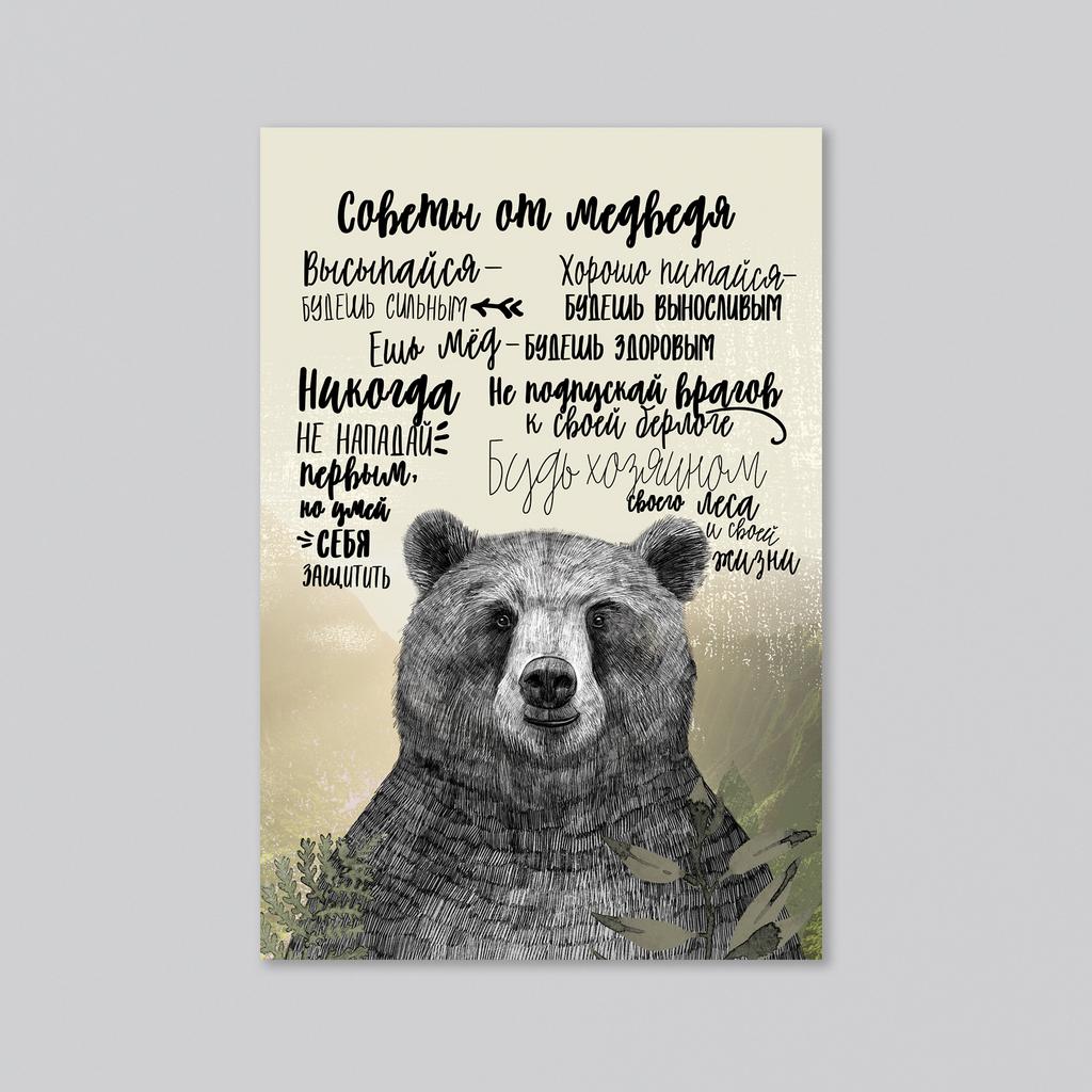 Советы от медведя - оптовая открытка - 20 штук