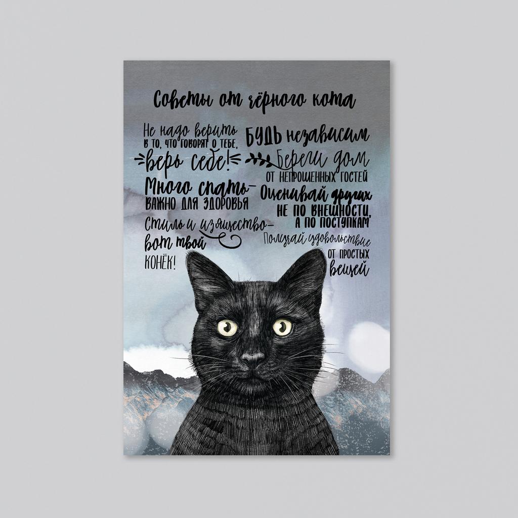 Советы от чёрного кота - оптовая открытка - 20 штук