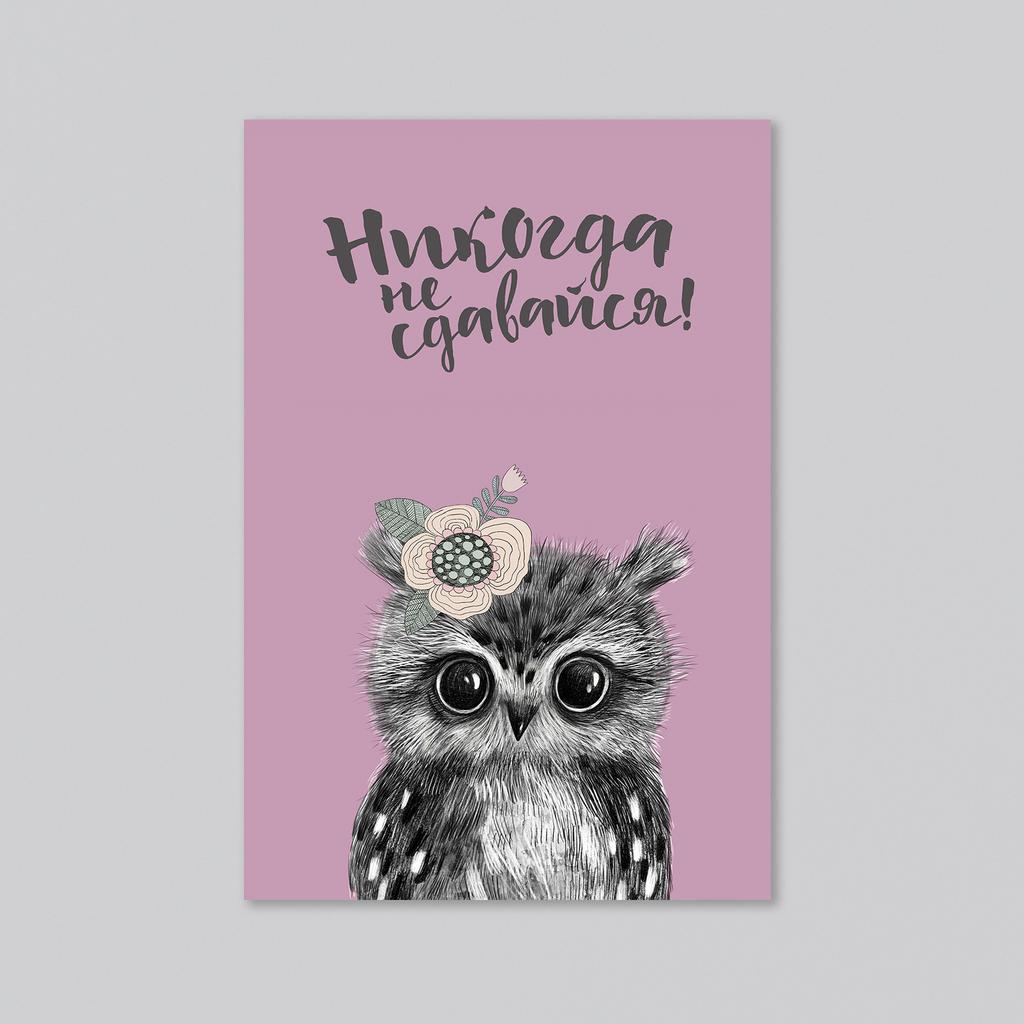 Совет от совёнка - никогда не сдавайся - оптовая открытка - 20 штук