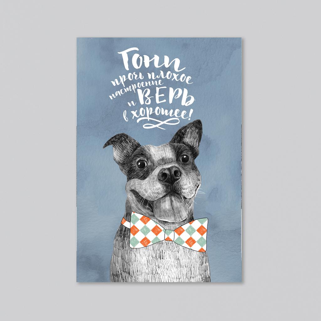 Гони прочь плохое настроение - оптовая открытка - 20 штук