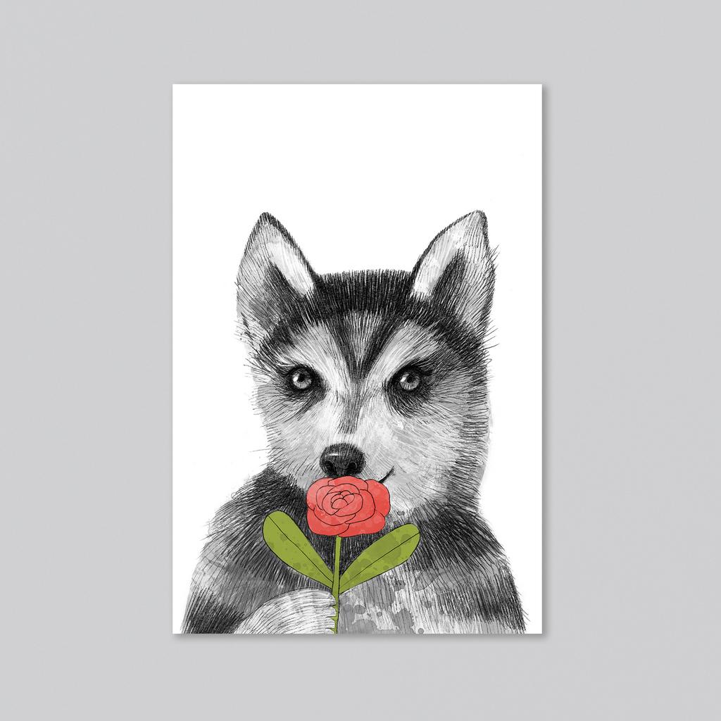 Малыш хаски - оптовая открытка - 20 штук