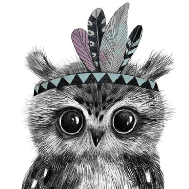 Постер Малыш совенок - индеец купить в интернет магазине