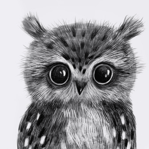 Постер Малыш совенок на веточке купить в интернет магазине