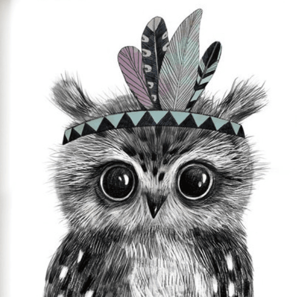 Постер Малыш совенок - индеец купить в интернет магазине