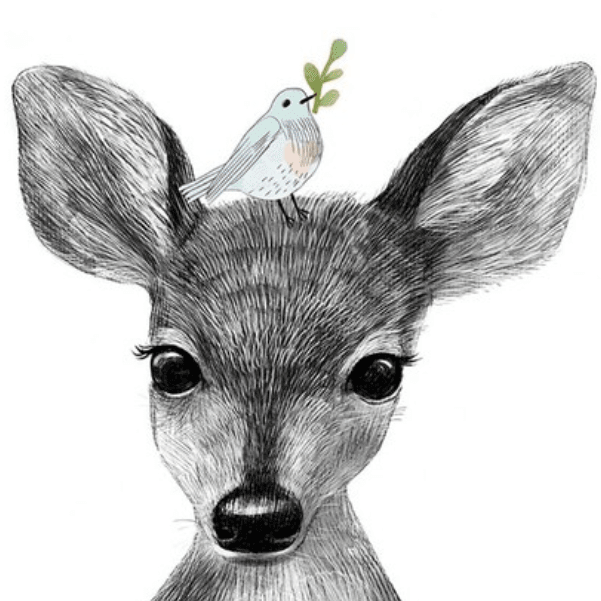 Постер Малыш олененок с птичкой купить в интернет магазине