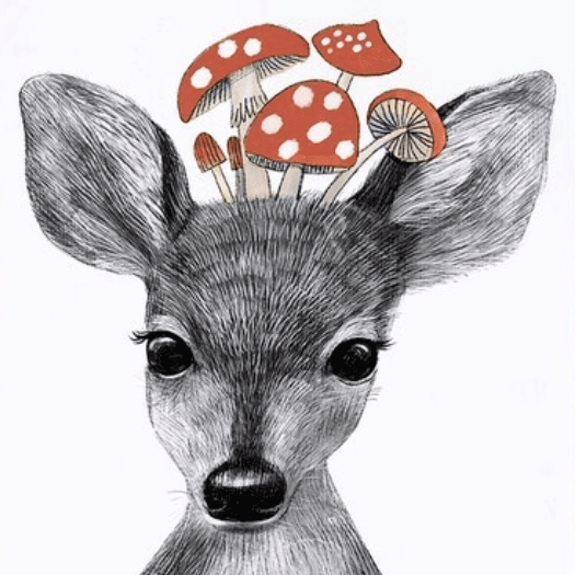 Постер Малыш олененок купить в интернет магазине