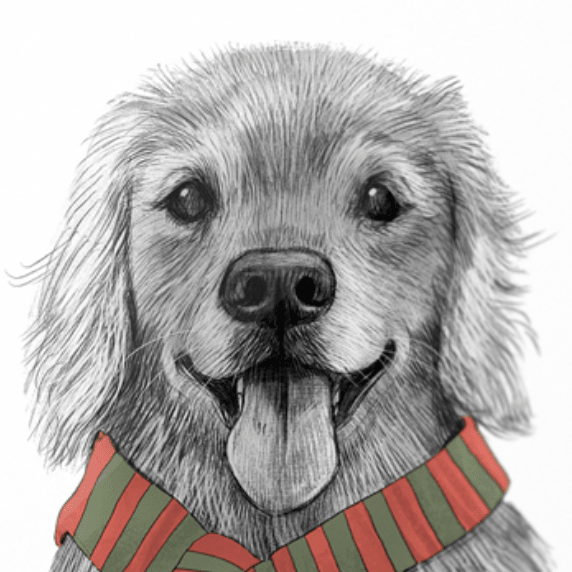 Постер Золотистый ретривер купить в интернет магазине