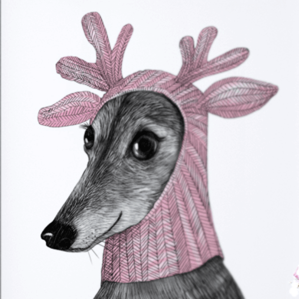 Постер Левретка в розовой шапочке купить в интернет магазине