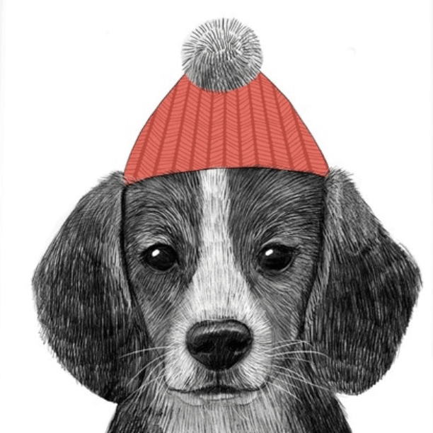 Постер Бигль в шапочке купить в интернет магазине