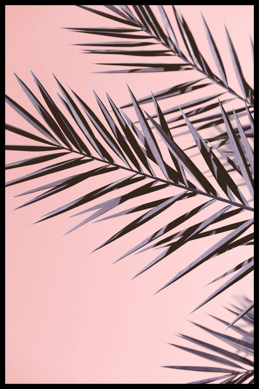 Постер Пальмовая Ветвь #2