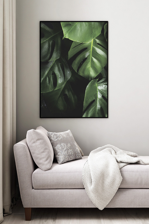 Постер Листья Монстеры