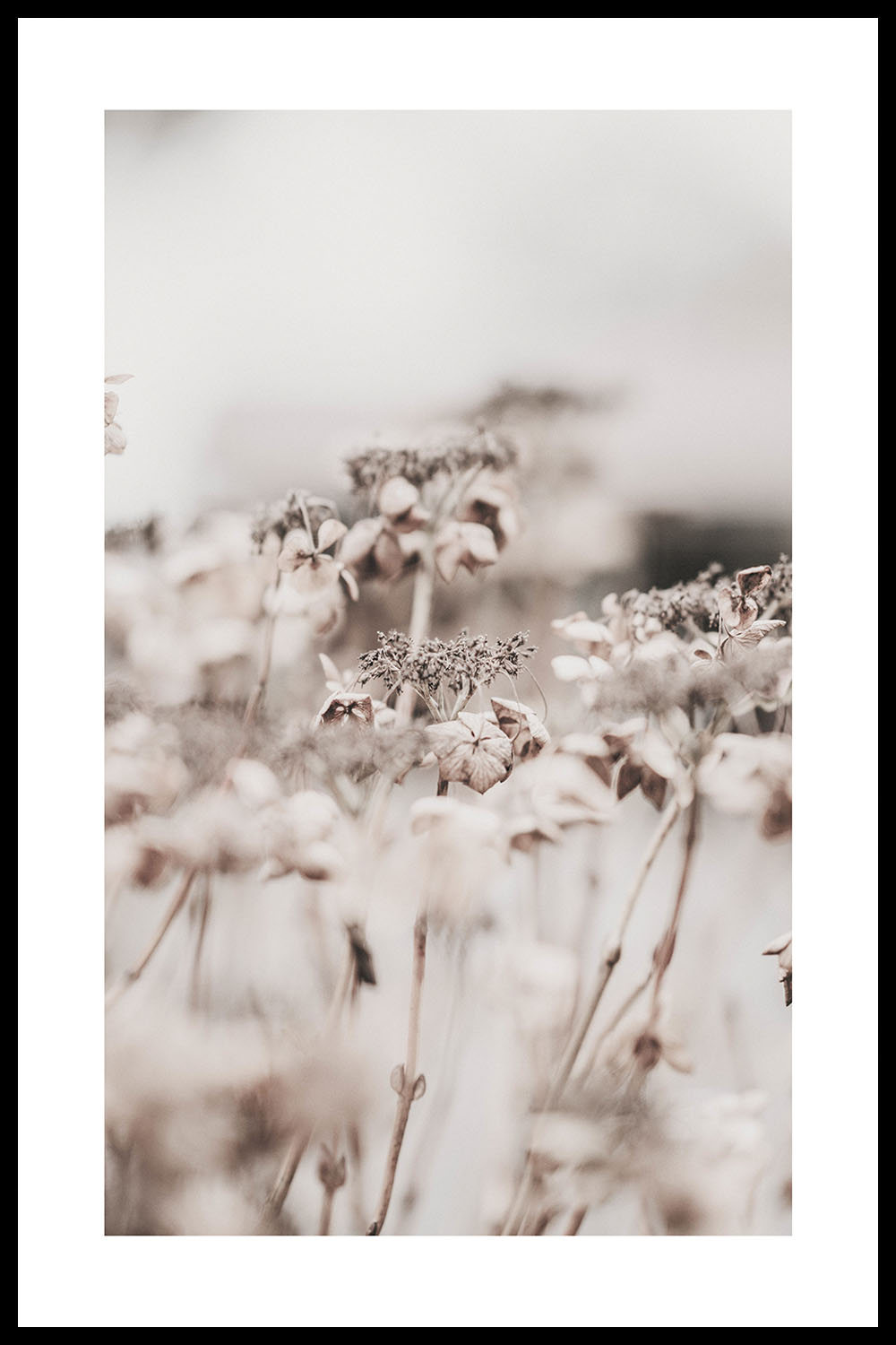 Постер Макро #2