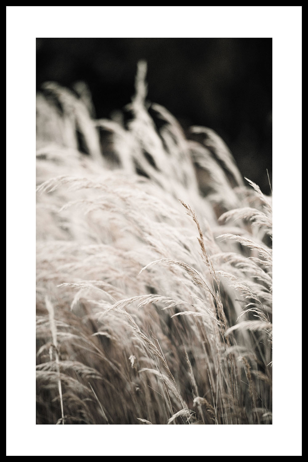 Постер Трава #1