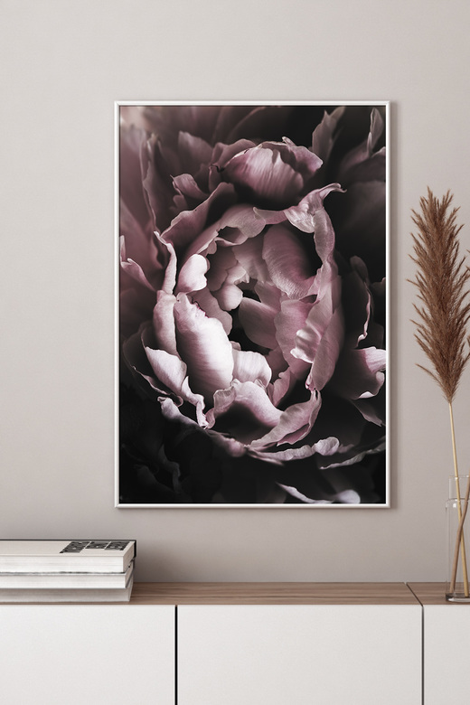 Постер Розовый Цветок