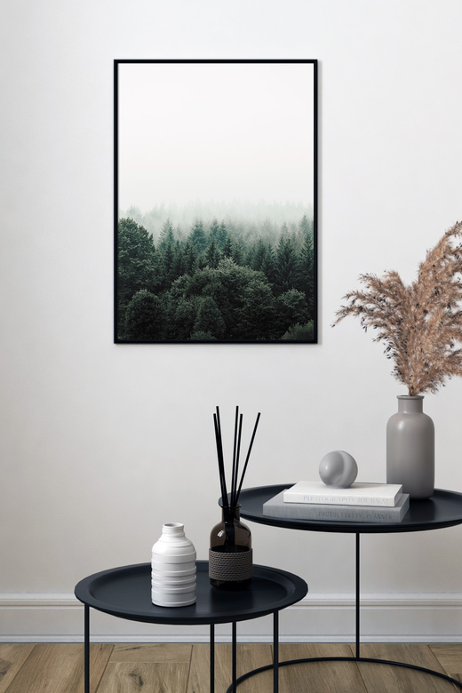 Постер Туман Над Лесом
