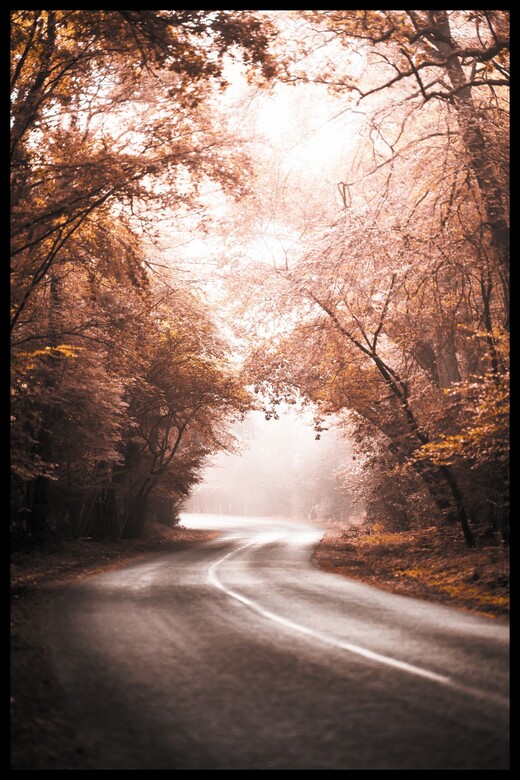 Постер Осенняя Дорога