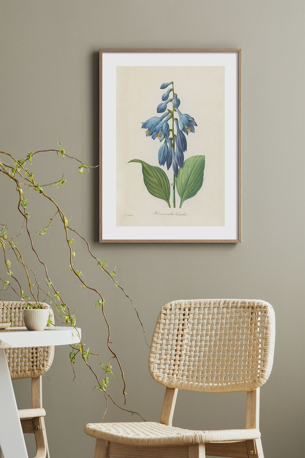 Постер Pierre Joseph Redouté #6