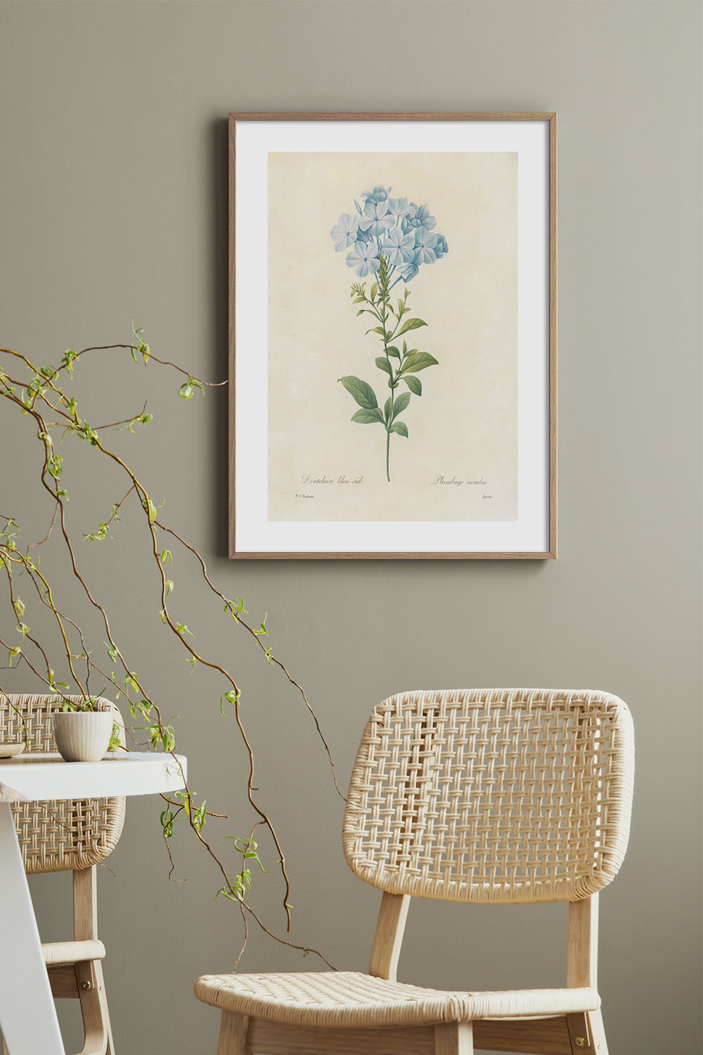 Постер Pierre Joseph Redouté #7