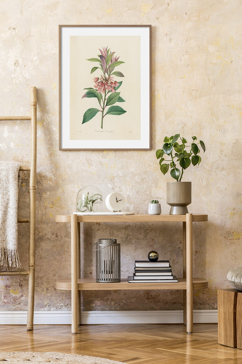 Постер Pierre Joseph Redouté #8