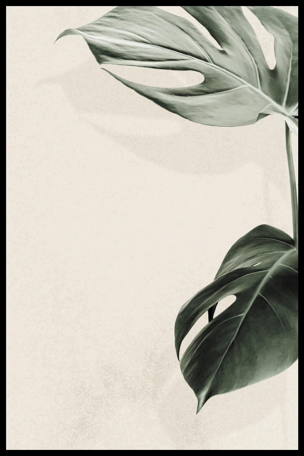 ЛИСТЬЯ МОНСТЕРЫ НА БЕЖЕВОМ