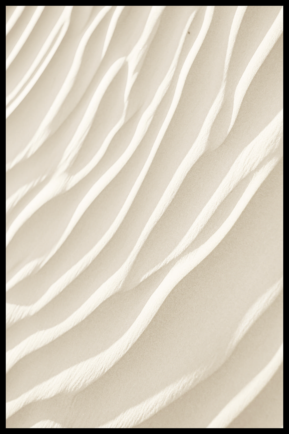 Постер Линии Песка