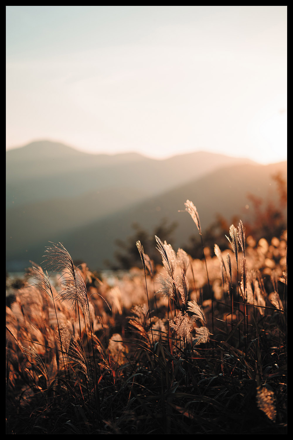 Постер Осенняя Трава В Горах