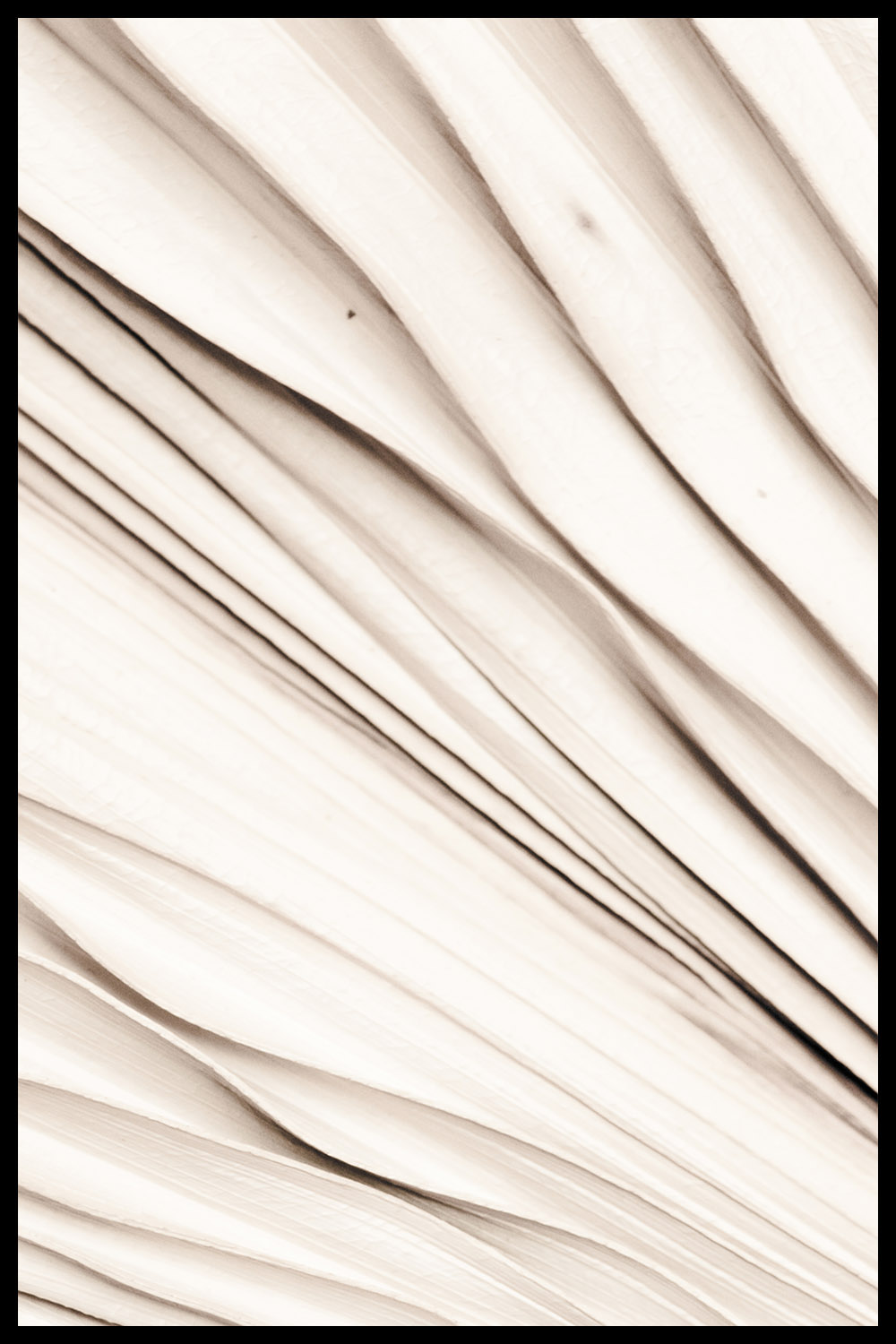 Постер Бежевый Пальмовый Лист