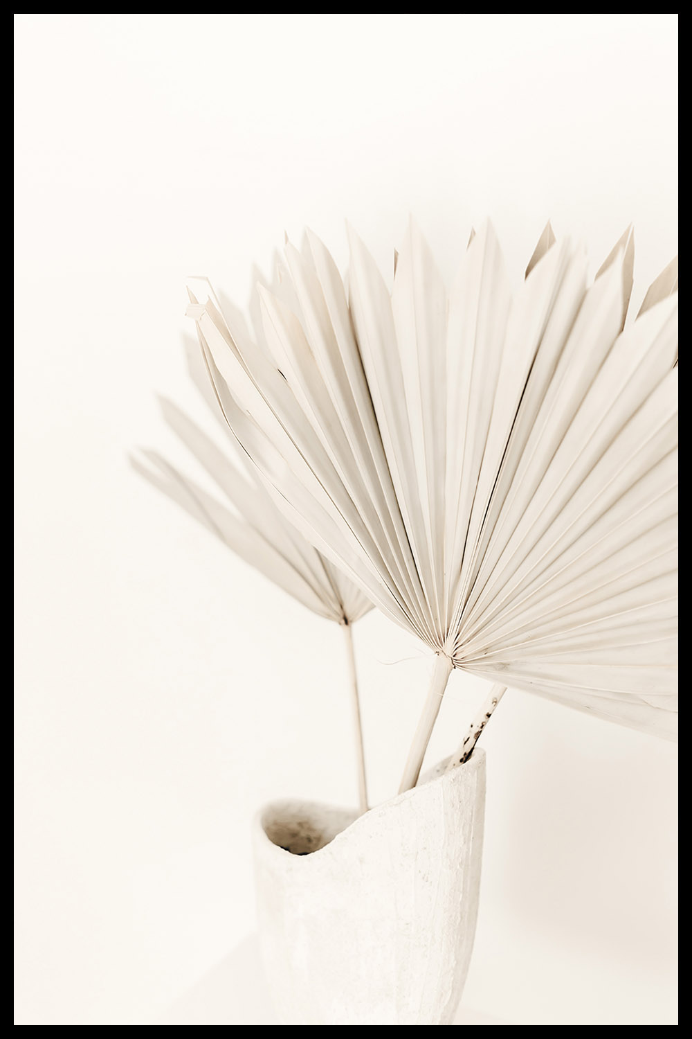 Постер Бежевые Листья Пальмы