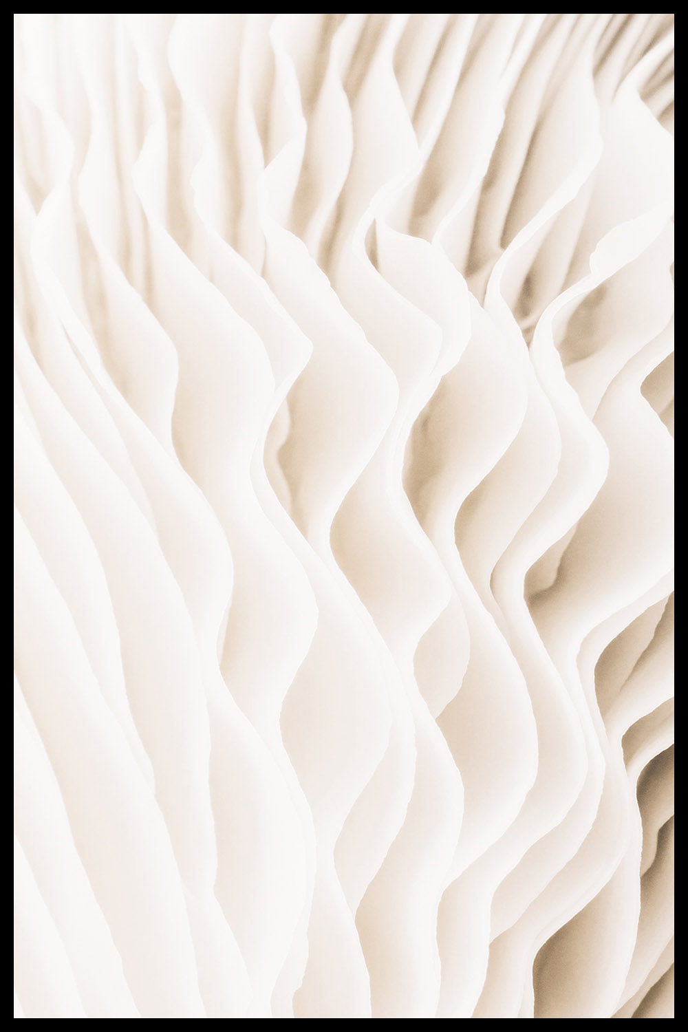 Постер Бежевые Грибы