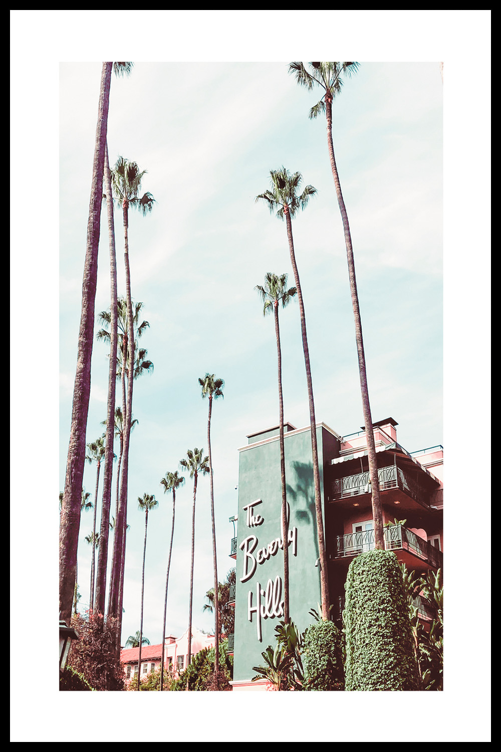 Постер The Beverly Hills